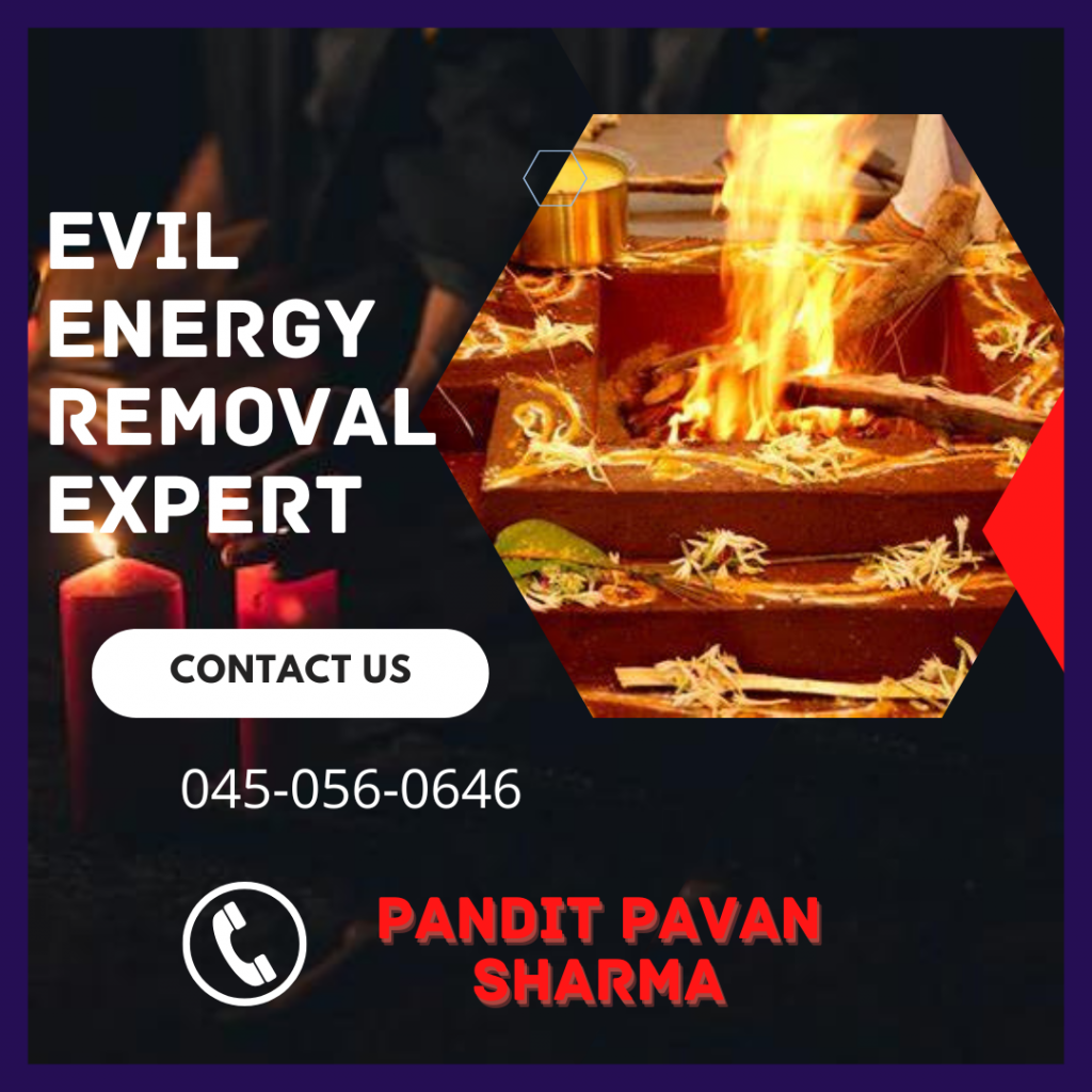 Copy of Red and Black Modern Digital Marketing Expert